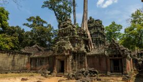 Ta Prohm Tree Roots and Temples, Siem Reap